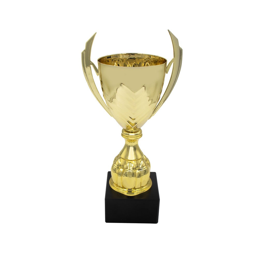 Puchar okolicznościowy | Oscar Winners Gadzety