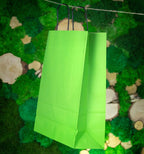 Torba papierowa 240x100x320mm z czarnym uchwytem JASNOZIELONA Winners Gadzety
